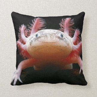 Huggable Axolotl BEAUTIFUL Pillow!! Cushion