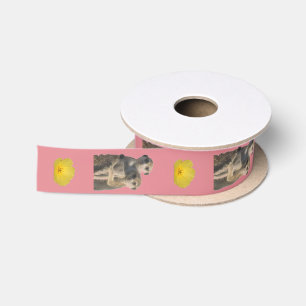 Hugging Meerkats - Satin Gift Ribbon