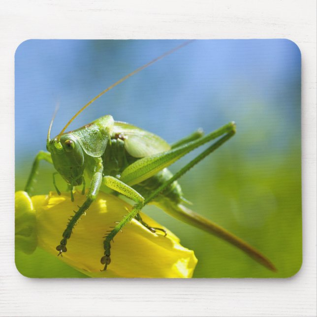 HUGO MOUSE MAT (Front)