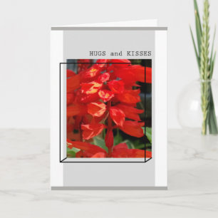 HUGS AND KISSES - GREETING CARD