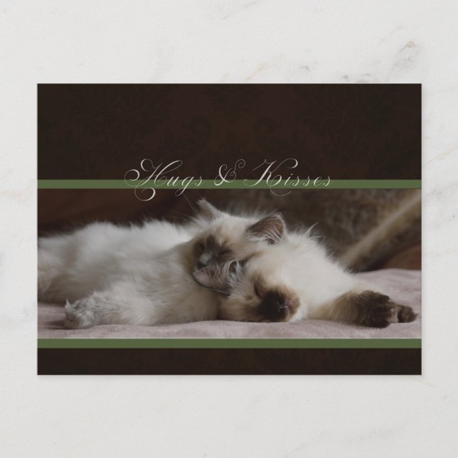 Hugs and kisses postcard (Front)