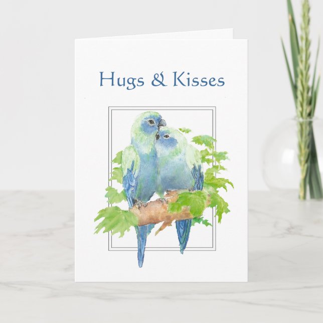 Hugs & Kisses and Birthday Wishes Parrot Couple Card (Front)