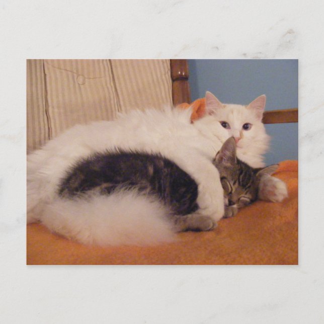 HugZ postcard (Front)