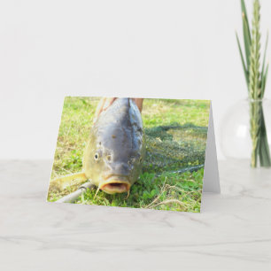 Huh? - Carp Close up Card