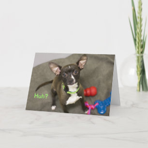 Huh?  Chihuahua Birthday Card