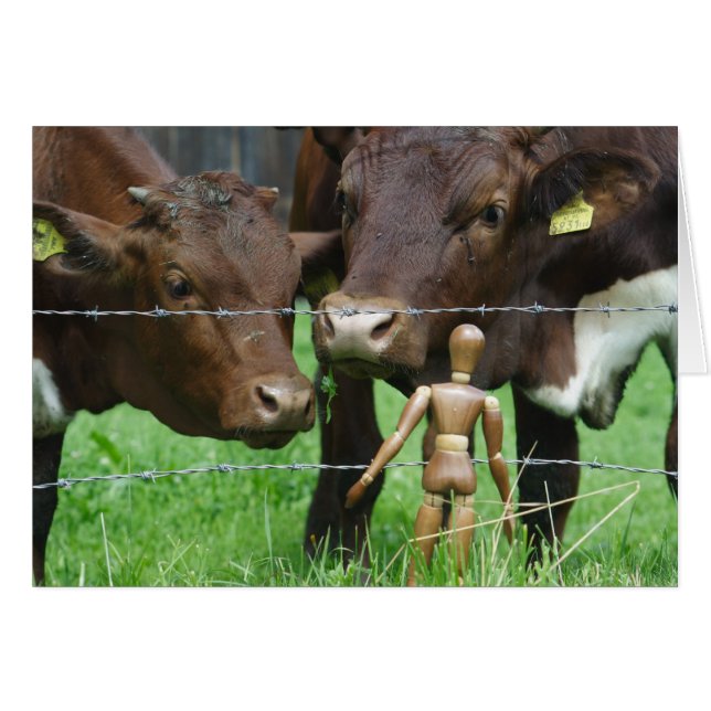 Huh? What's that? (Front Horizontal)