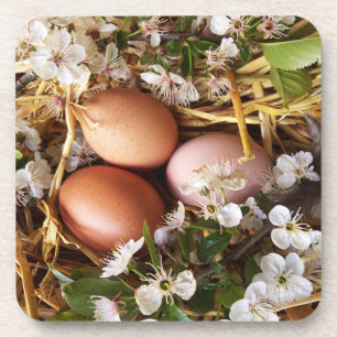 Hühnereier im Nest Coaster