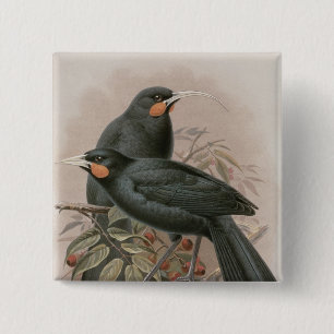 Huia 15 Cm Square Badge