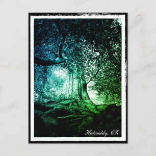 Hukvaldy - Beech Tree, Morava, Czechia Postcard