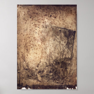 Hulroy Wilds Poster