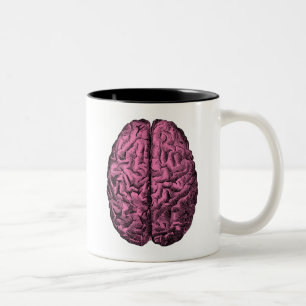 Human Anatomy Brain Two-Tone Coffee Mug