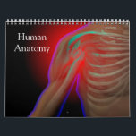 Human Anatomy Calendar<br><div class="desc">Artistic views of human anatomy.</div>