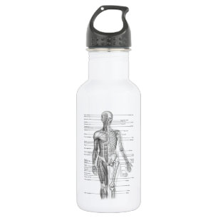 Human Anatomy Chart 532 Ml Water Bottle