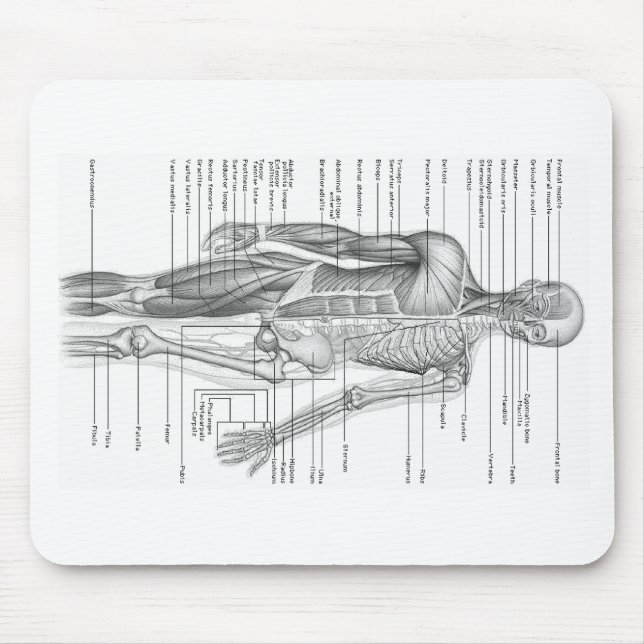 Human Anatomy Chart Mouse Mat (Front)