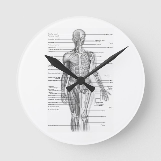 Human Anatomy Chart Round Clock (Front)