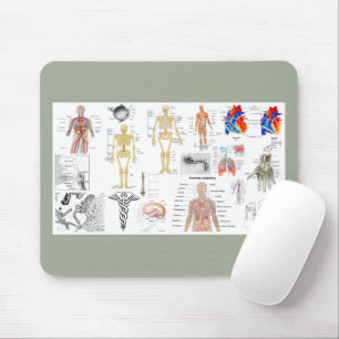 Human Anatomy Charts Mouse Mat