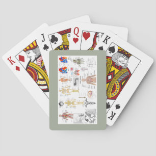 Human Anatomy Charts Playing Cards