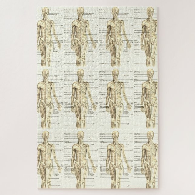 Human Anatomy Diagram with Labels   Jigsaw Puzzle (Vertical)