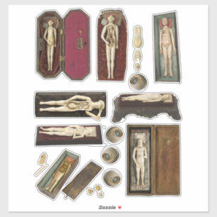 human anatomy dolls body parts collage sheet