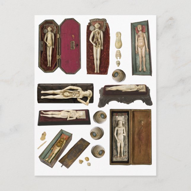 human anatomy dolls body parts collage sheet  postcard (Front)