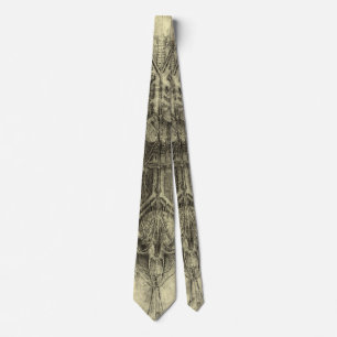 Human Anatomy, Female Torso by Leonardo da Vinci Tie