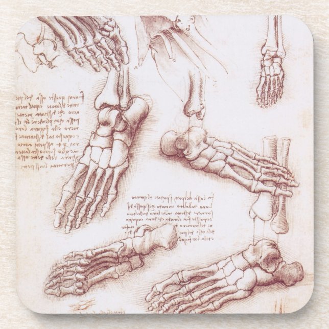 Human Anatomy Foot Bones by Leonardo da Vinci Coaster (Front)