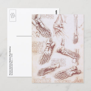 Human Anatomy Foot Bones by Leonardo da Vinci Postcard