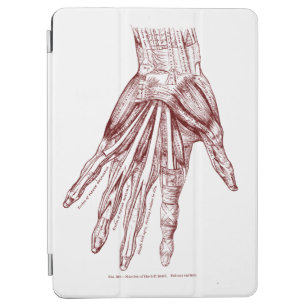 Human Anatomy Hand Muscles Red iPad Air Cover