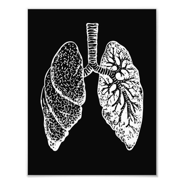 Human anatomy, lungs black and white photo print (Front)