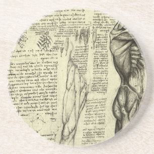 Human Anatomy Male Muscles by Leonardo da Vinci Coaster