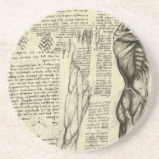 Human Anatomy Male Muscles by Leonardo da Vinci Coaster