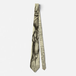 Human Anatomy Male Muscles by Leonardo da Vinci Tie