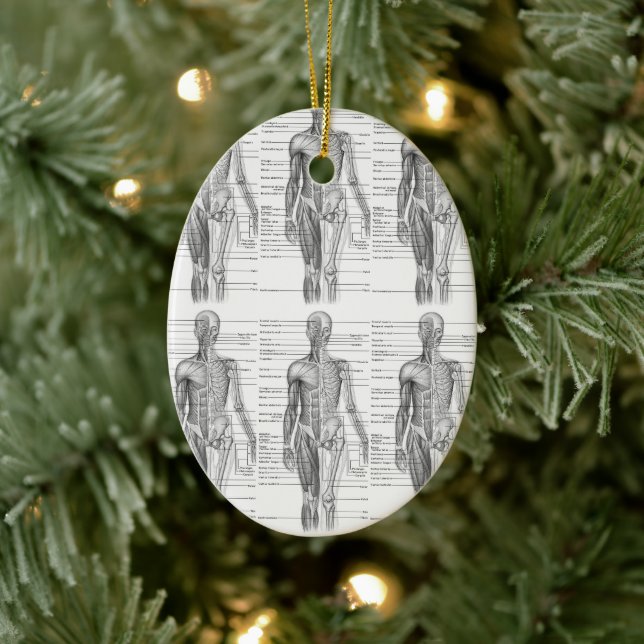 Human Anatomy Medical Chart Ceramic Tree Decoration (Tree)