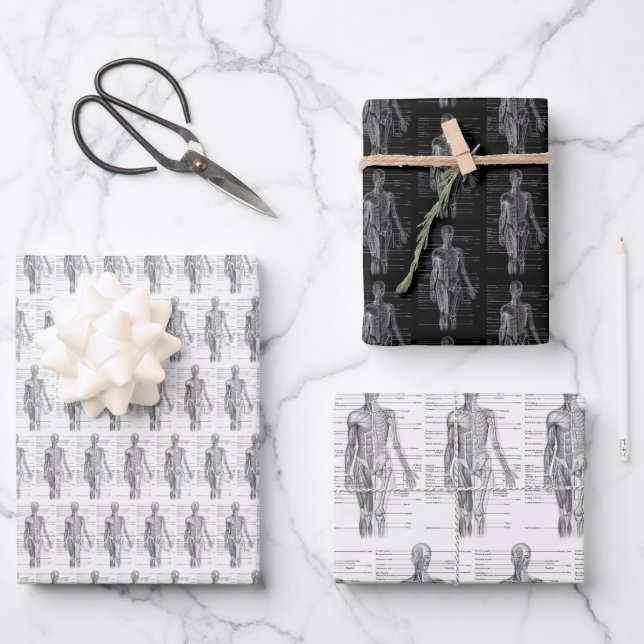 Human Anatomy Medical chart Wrapping Paper Sheet (Front)