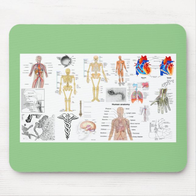 Human Anatomy Medical Charts Mouse Mat (Front)