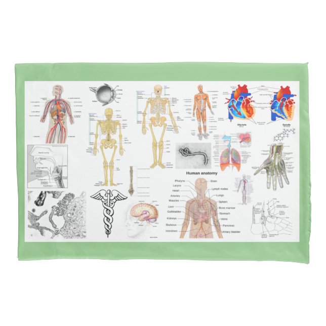 Human Anatomy Medical Charts  Pillowcase (Front)