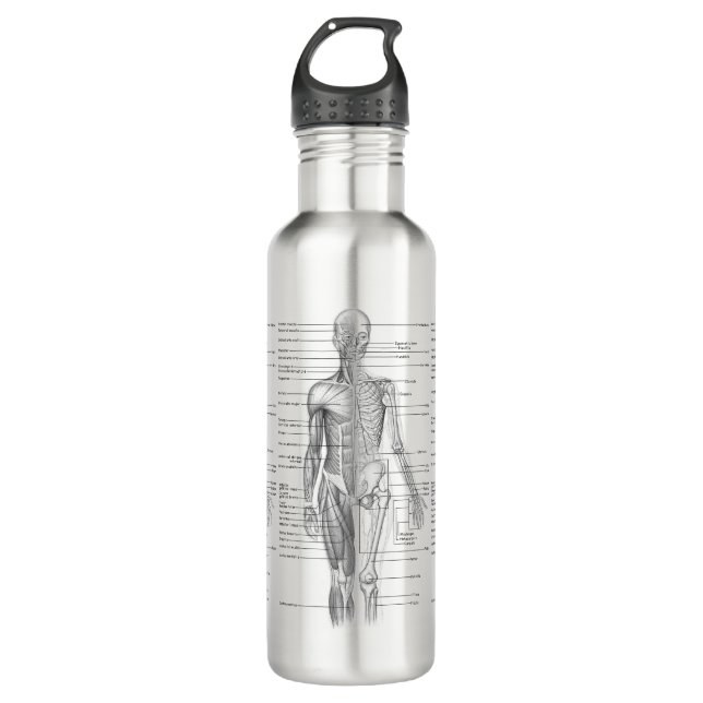 Human Anatomy Medical Diagram 710 Ml Water Bottle (Front)