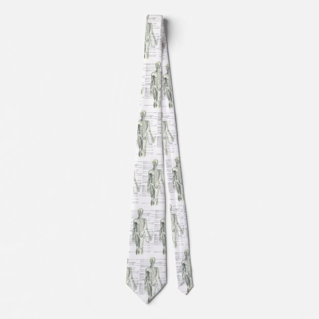 Human Anatomy Medical Diagram Novelty Tie (Front)