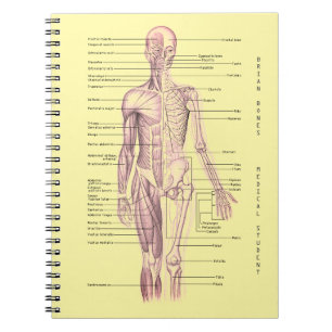 Human Anatomy Medical Diagram Personalised School Notebook
