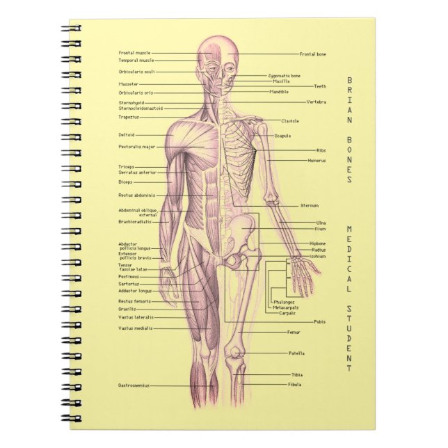 Human Anatomy Medical Diagram Personalised School Notebook (Front)
