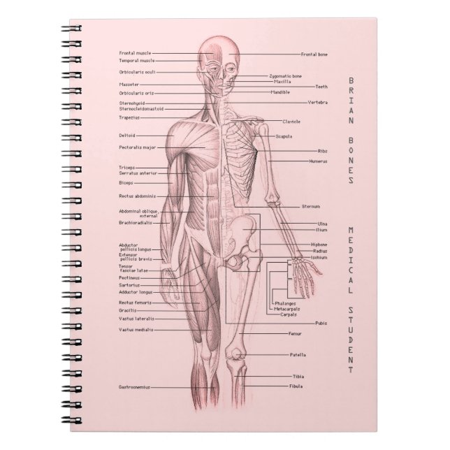 Human Anatomy Medical Diagram Personalised School Notebook (Front)