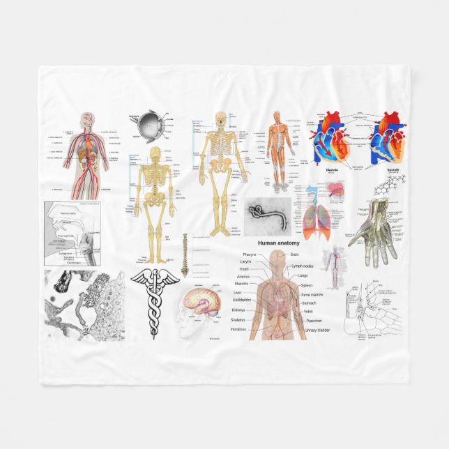 Human Anatomy Medical Diagrams full coloured Fleece Blanket (Front (Horizontal))