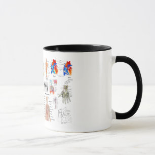 Human Anatomy Medical Diagrams full coloured Mug
