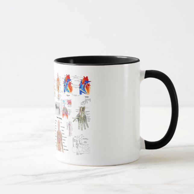 Human Anatomy Medical Diagrams full coloured Mug (Right)