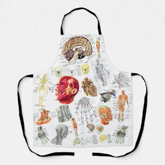 Human Anatomy Medical Diagrams Novelty Science Apron