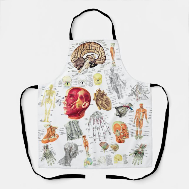 Human Anatomy Medical Diagrams Novelty Science Apron (Front)