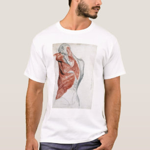 Human Anatomy; Muscles of the Torso and Shoulder T-Shirt