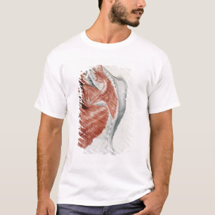 Human Anatomy; Muscles of the Torso and Shoulder T-Shirt