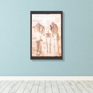 Human Anatomy Skeletons by Leonardo da Vinci Canvas Print