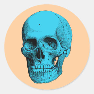 Human Anatomy Skull Classic Round Sticker